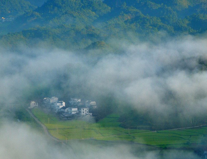 DSC_2380a.jpg