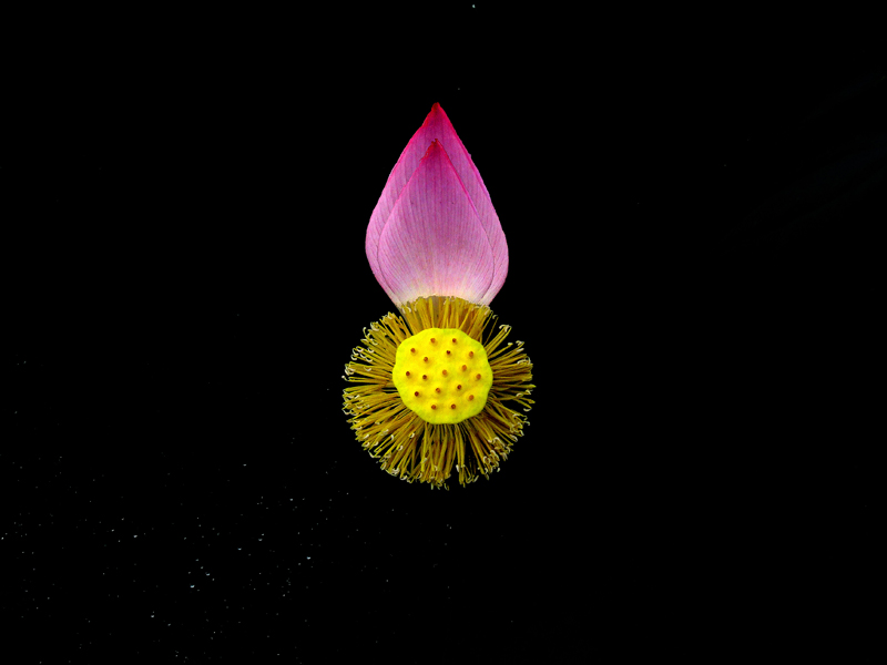ҹ[]-¿-13205598806.jpg