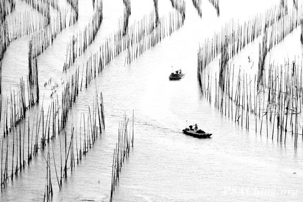 08.ƷFishing back.jpg