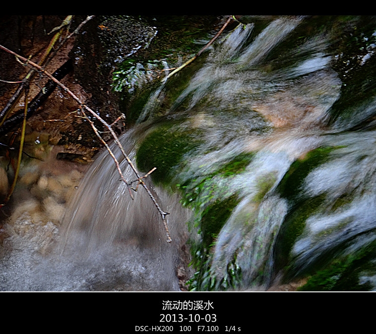 DSC02841_.jpg