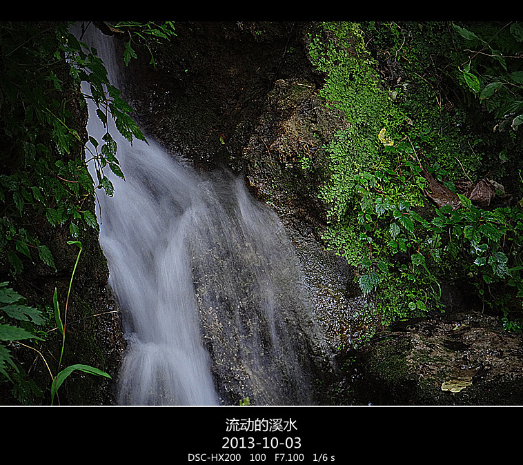 DSC02865_.jpg