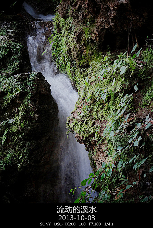 DSC02868_.jpg