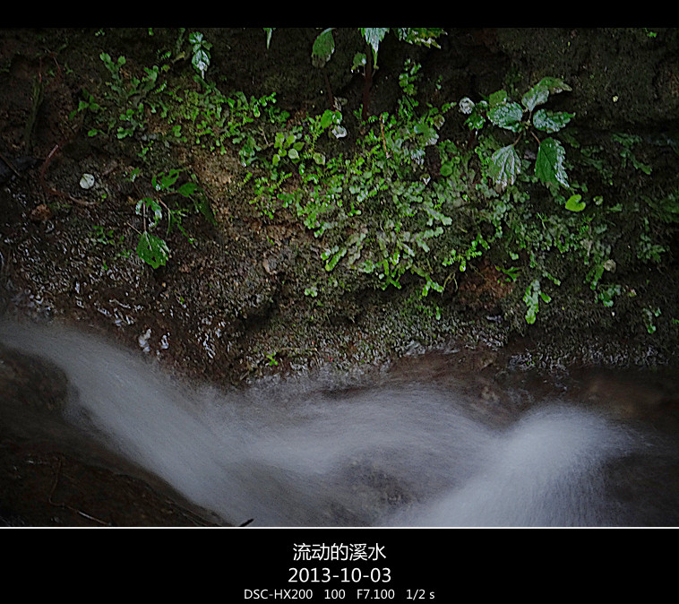 DSC02871_.jpg