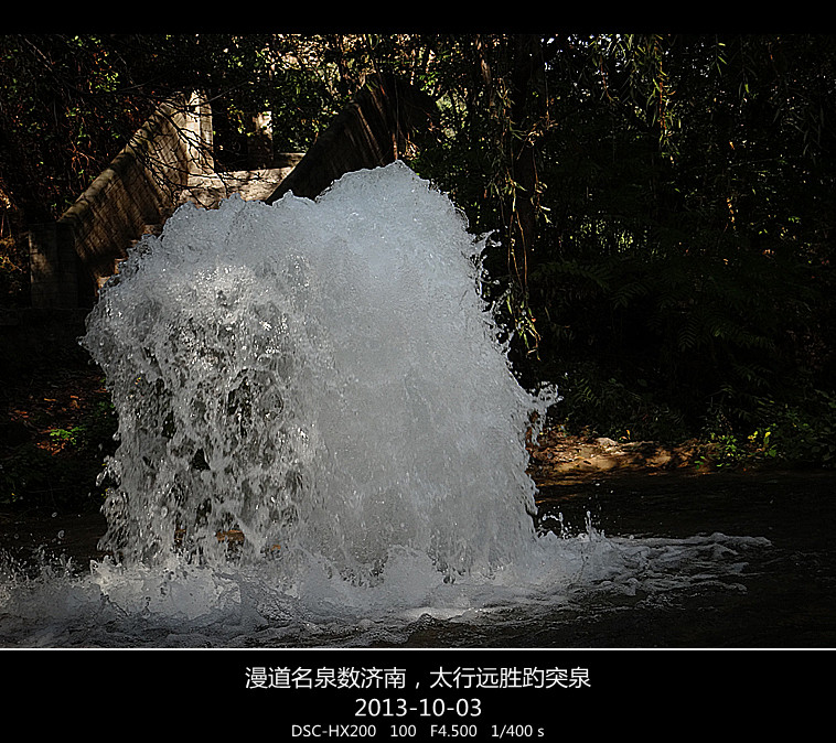 DSC02878_.jpg