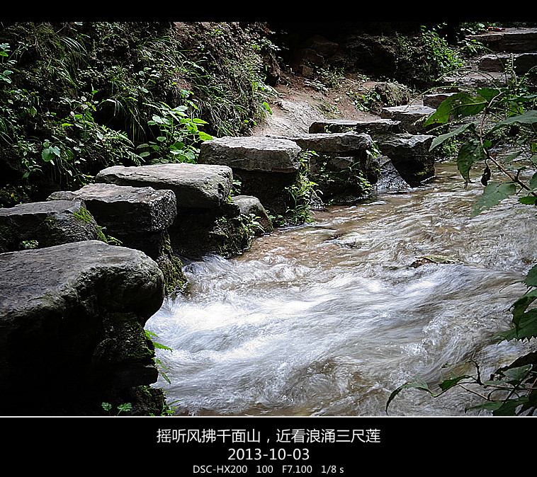 DSC02888_.jpg