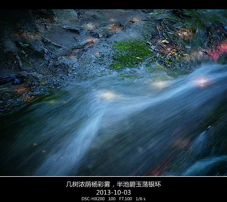 DSC02892_.jpg