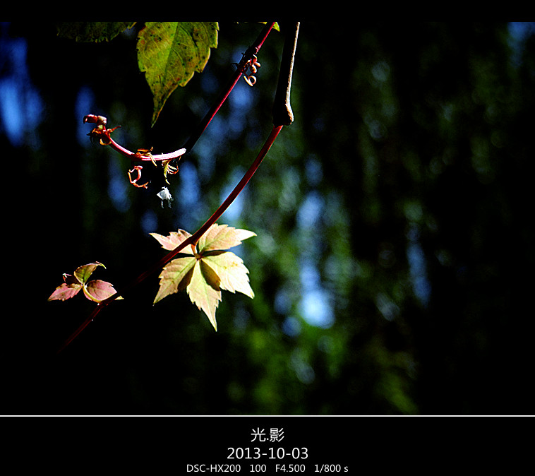 DSC02837_.jpg