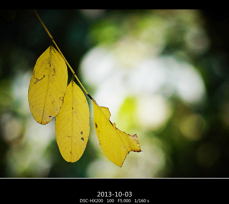 DSC02921_.jpg