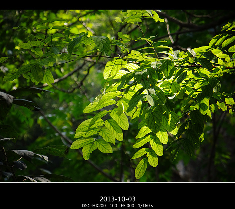DSC02943_.jpg
