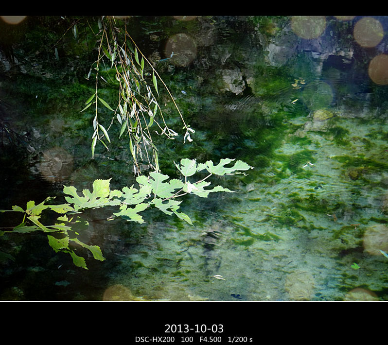 DSC02937_ .jpg