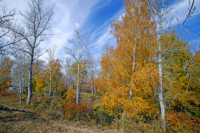 _Y0R6125_1.JPG