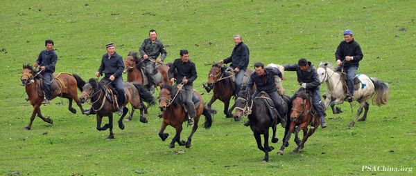 09.ԾƷͼTake the lamb of nine horses.jpg