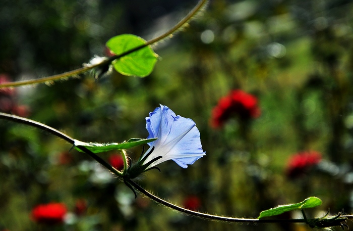 DSC_0269.JPG