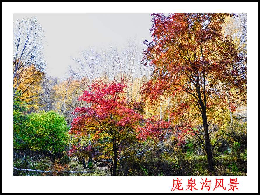 2013105ȪƬ 0222.jpg