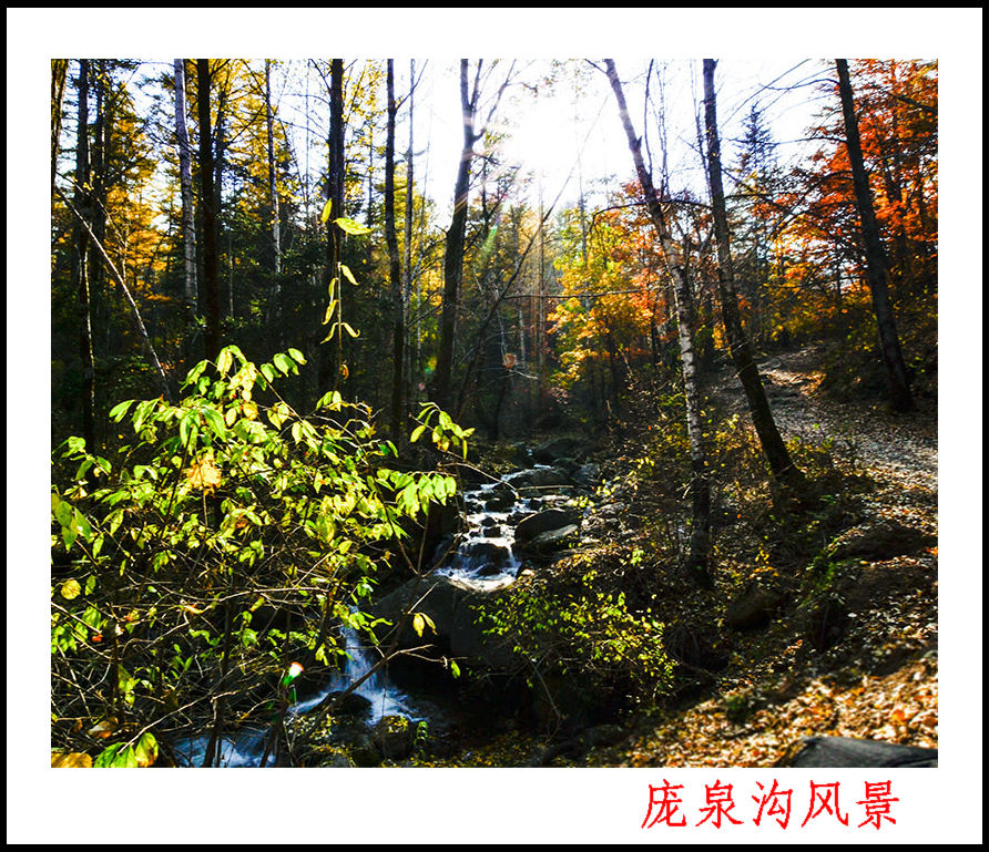 2013105ȪƬ 0044.jpg