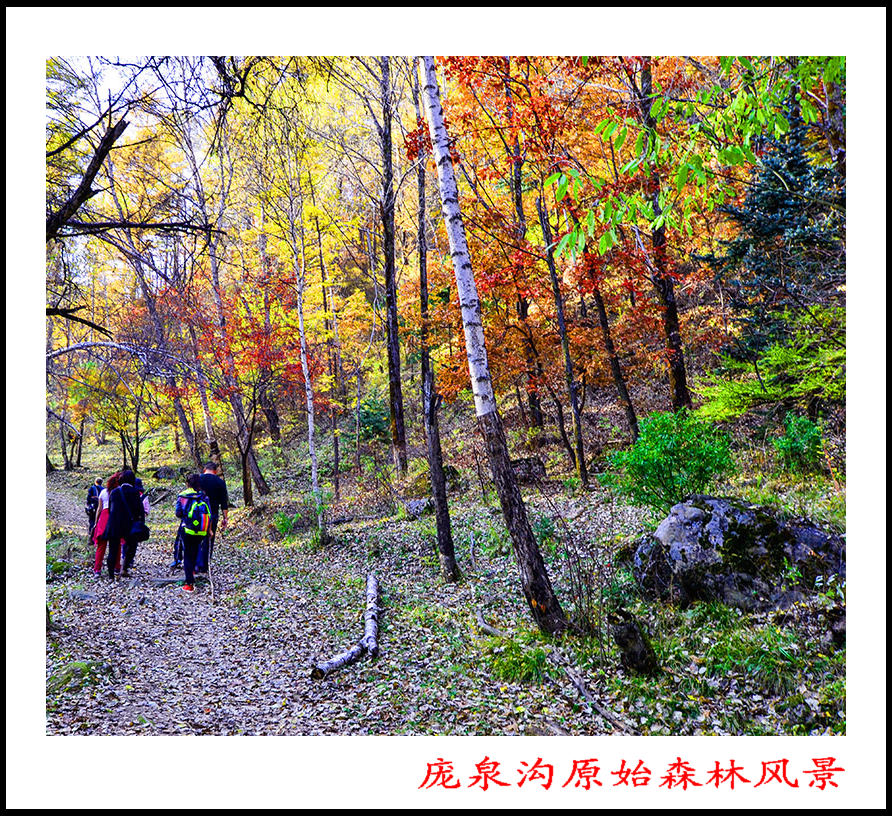 2013105ȪƬ 0122.jpg