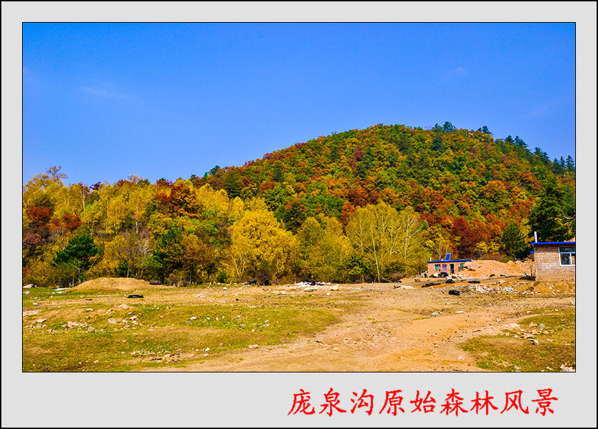 2013105ȪƬ 0433.jpg
