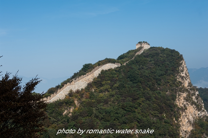 DSC_2933.jpg