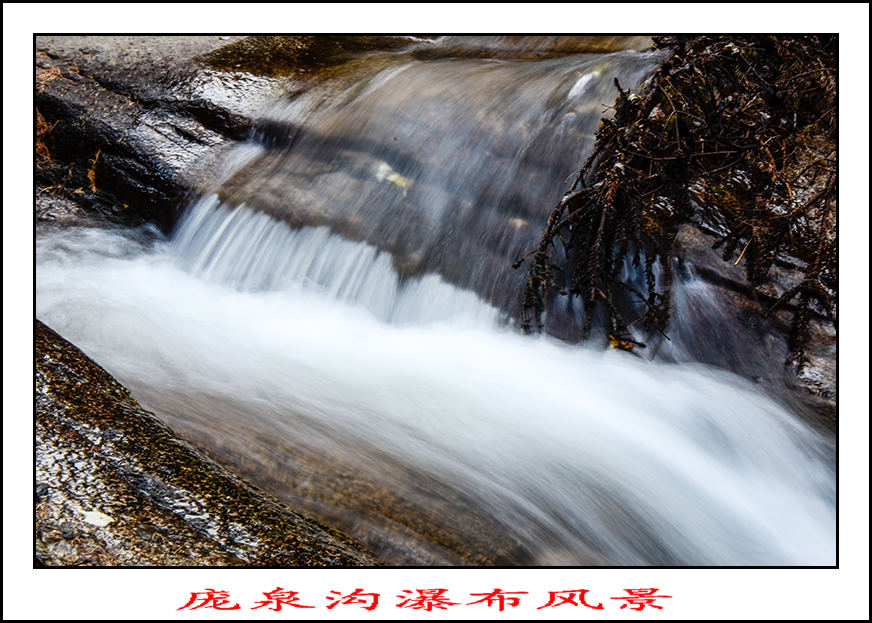 2013105ȪƬ 13077.jpg