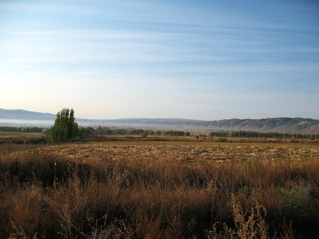 IMG_9707.JPG