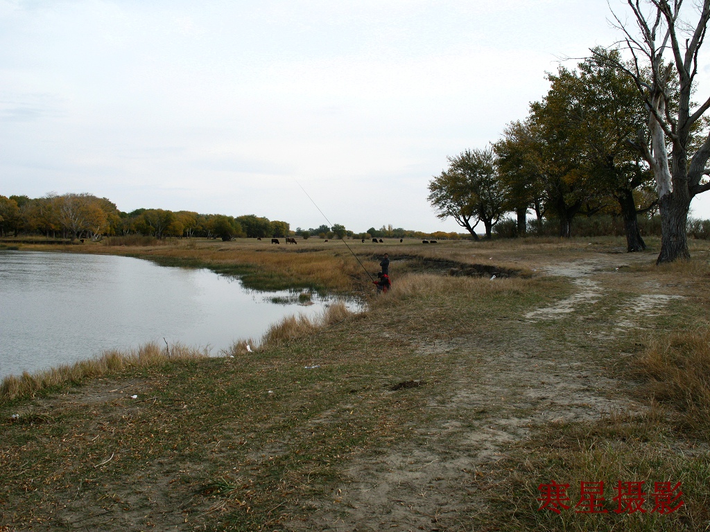 IMG_0286.JPG
