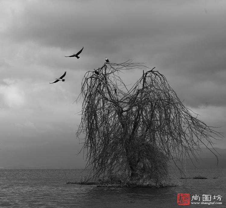 YSuNe20131011103233.jpg