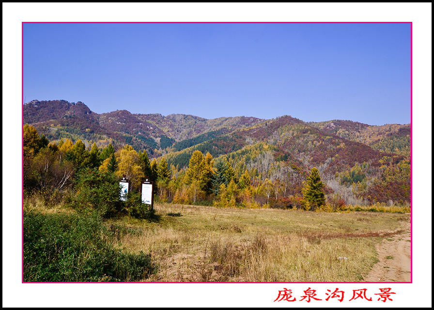 2013105ȪƬ 10011.jpg