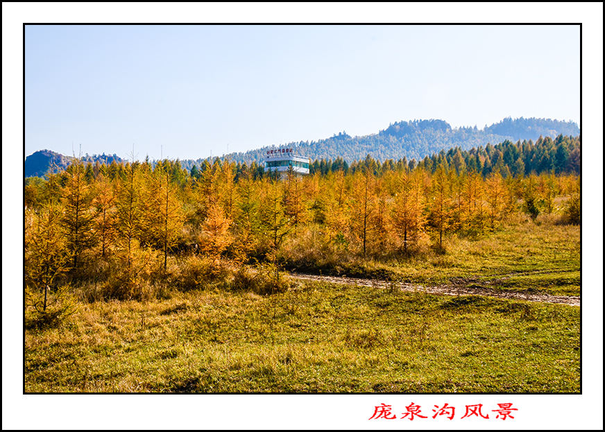 2013105ȪƬ 11799.jpg
