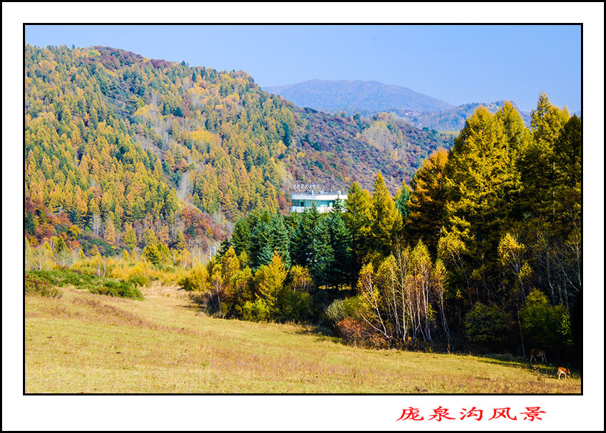 2013105ȪƬ 11822.jpg
