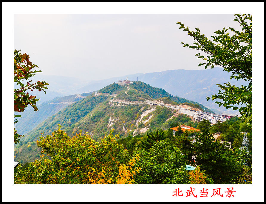 2013105Ƭ 0499.jpg