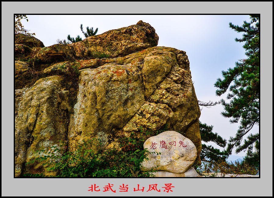 2013105Ƭ 10644.jpg