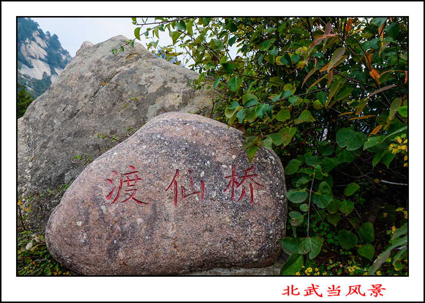 2013105Ƭ 13822.jpg