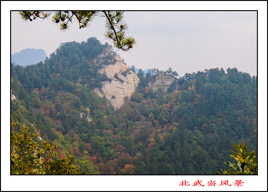 2013105Ƭ 13833.jpg