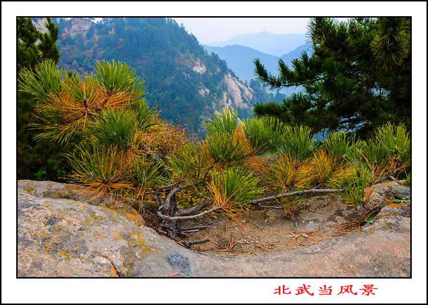2013105Ƭ 13866.jpg