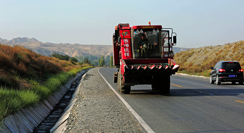 DH6A11031_.jpg