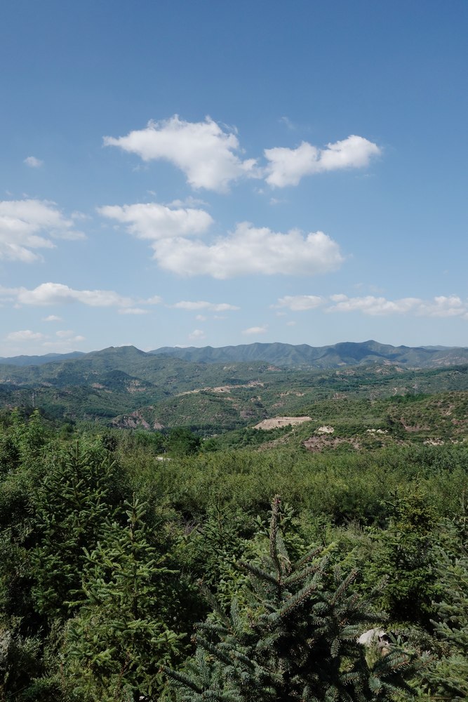 DSC0-03.jpg