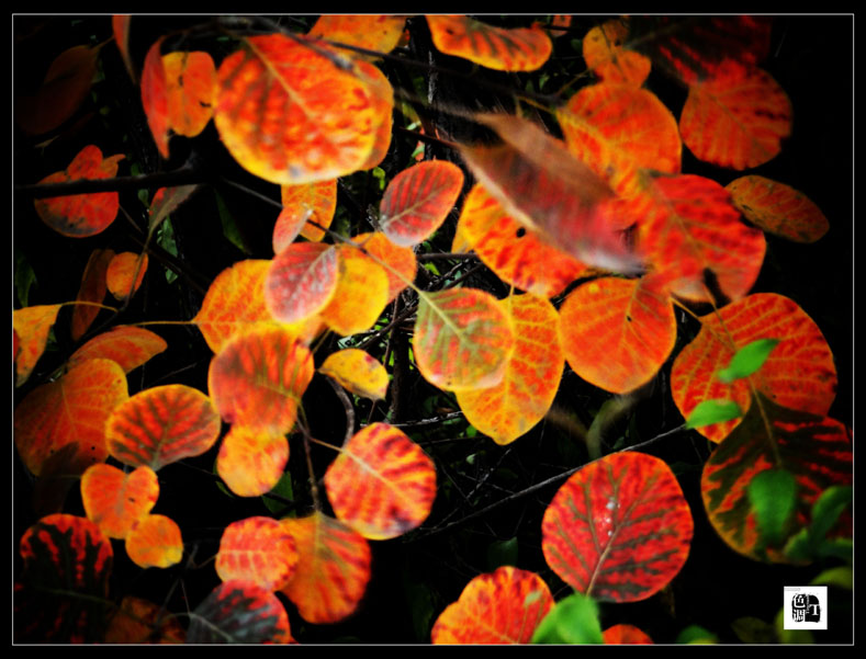 DSC03054_.jpg