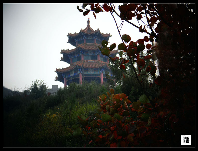 DSC03057_.jpg