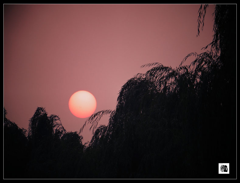 DSC03062_.jpg