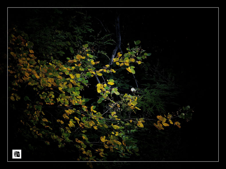DSC03027_.jpg