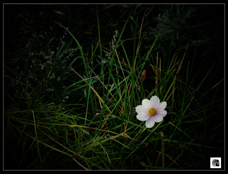 DSC03026_.jpg