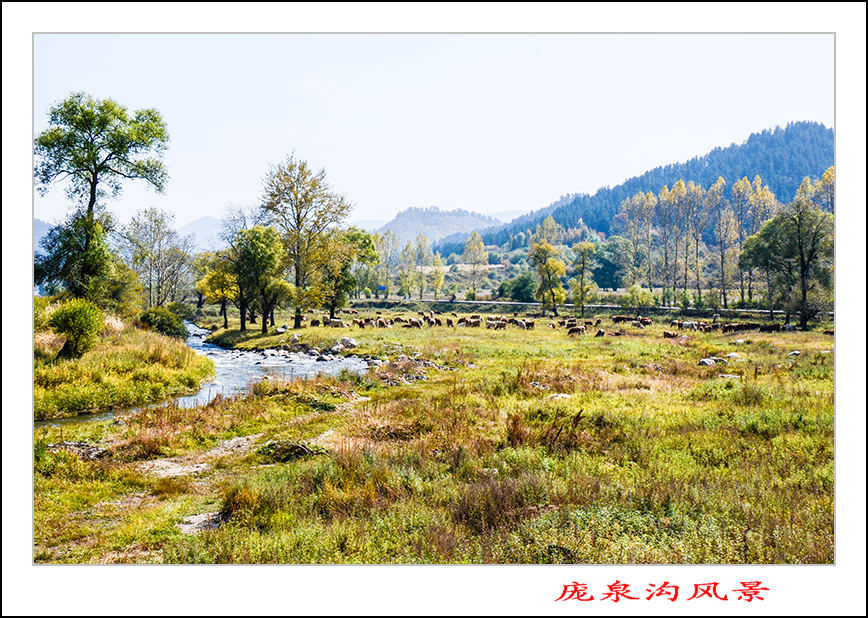 2013105ȪƬ 11588.jpg