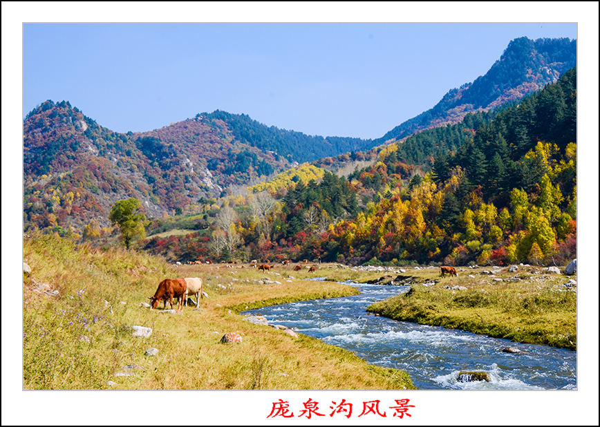 2013105ȪƬ 11700.jpg