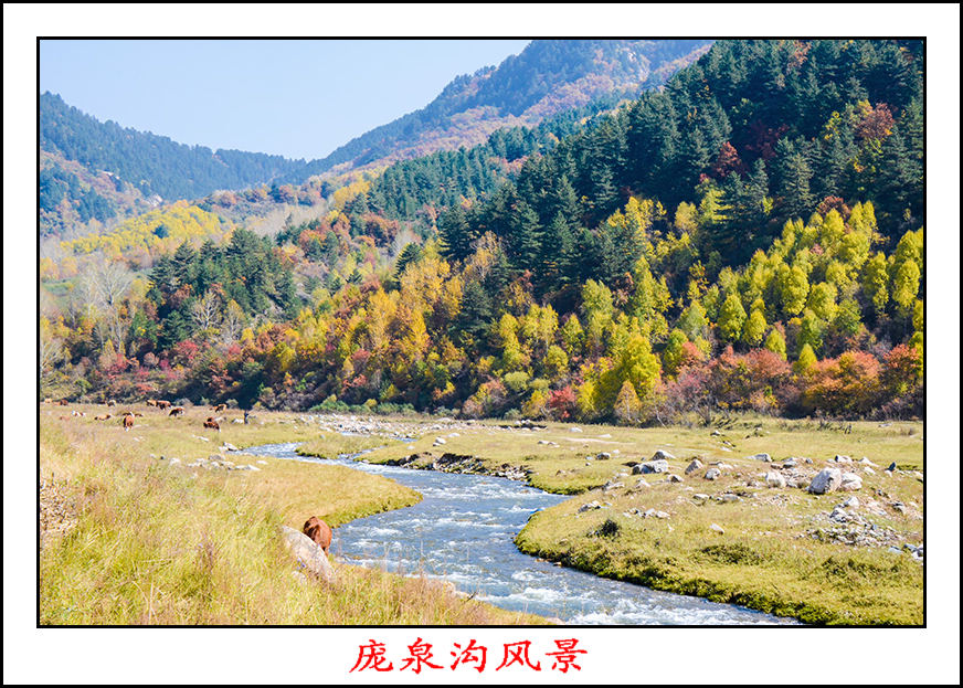 2013105ȪƬ 11733.jpg