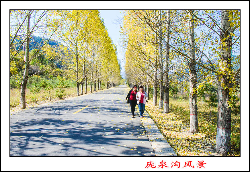 2013105ȪƬ 1222.jpg