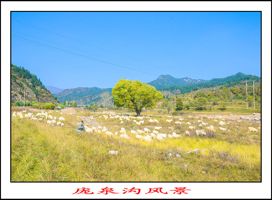 2013105ȪƬ 1277.jpg