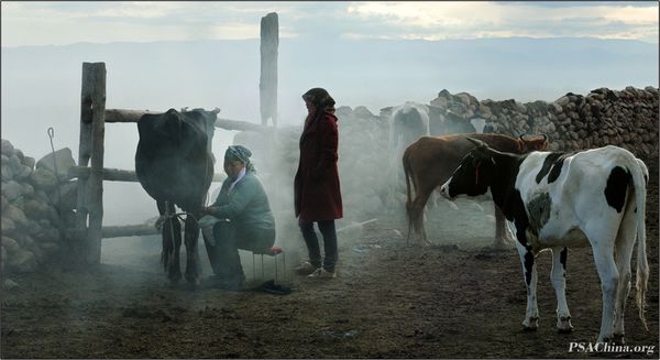 05.ƷThe Morning Mist.jpg