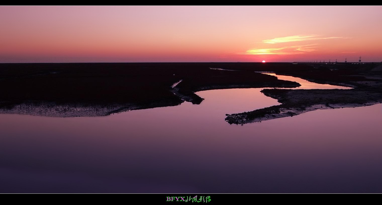 DSC00545_conew1.jpg