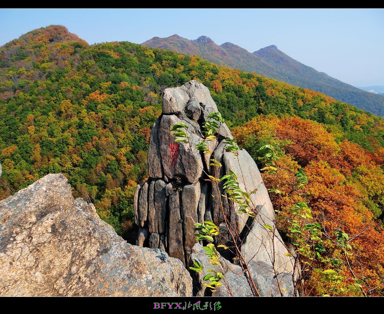 DSC01280_conew1.jpg