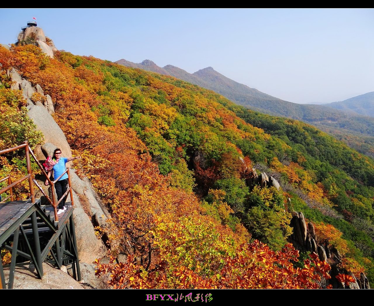 DSC01231_conew1.jpg